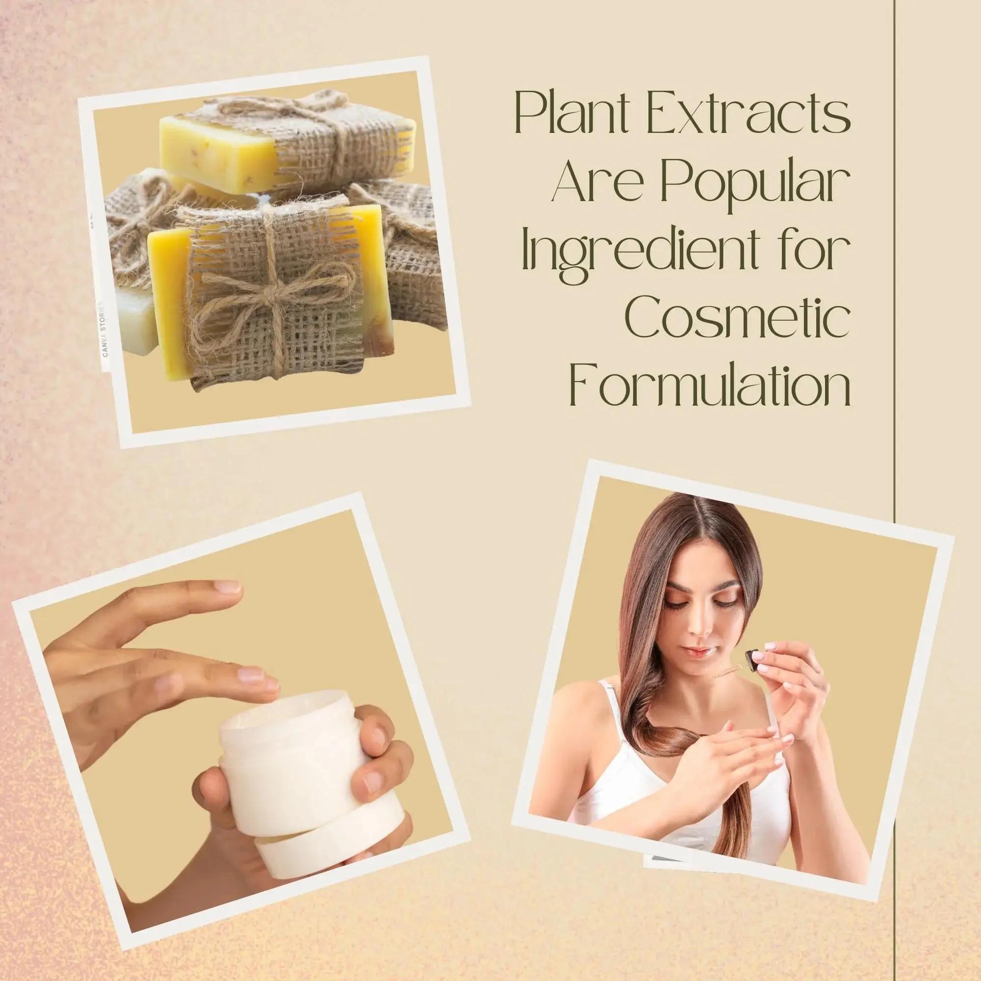 High Quality Soapberry Extract - Hair Care Essence บทวิจารณ์และราคา