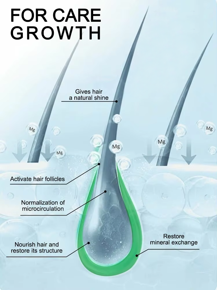 Upgrade your daily hair care r - Hair Care Daily Routine บทวิจารณ์และราคา