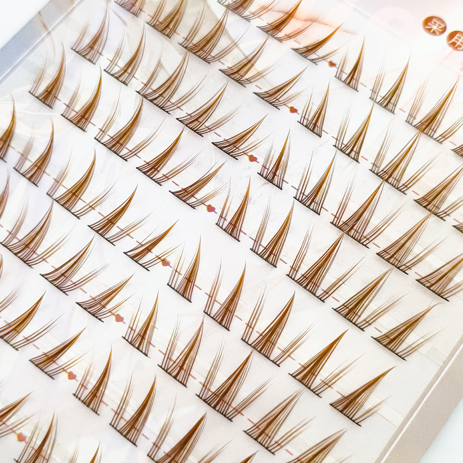 Brown Sunflower DIY Lash Clust - Hair Care Korea บทวิจารณ์และราคา